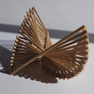Triada N° 6