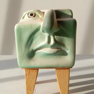 Cara aqua